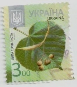 2012 Ukraine, stamp Linden, 8th issue standards,  Flora, plants, USED