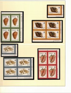 BELIZE Sc 476a-84a NH SET OF 1981 - BLOCKS OF 4! - SHELLS - (WG04)