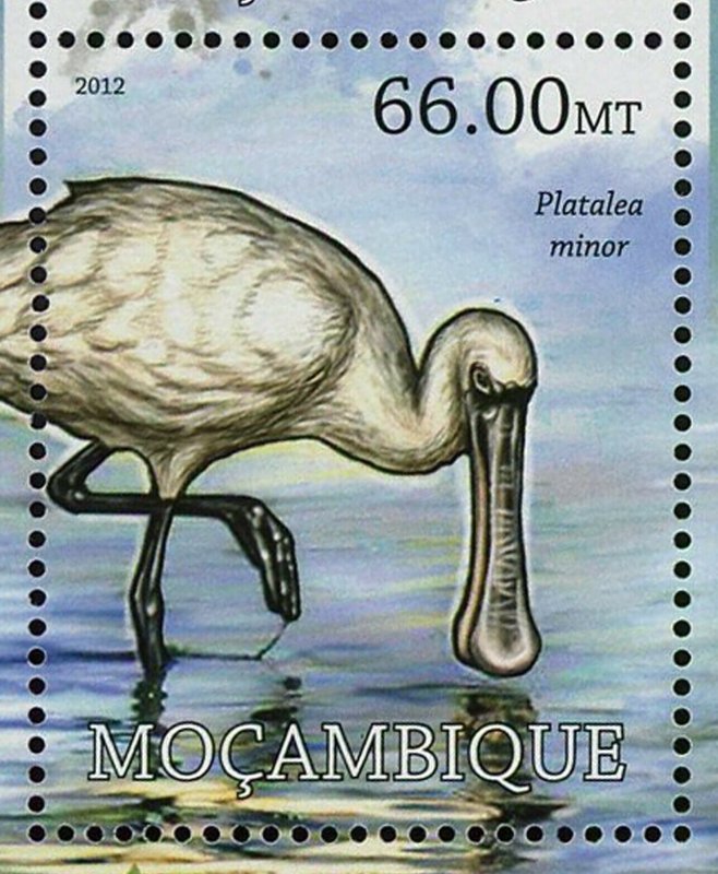 Sea Birds Stamp Puffinus Newelli Mitu Mitu Platalea Minor S/S MNH #5768-5773