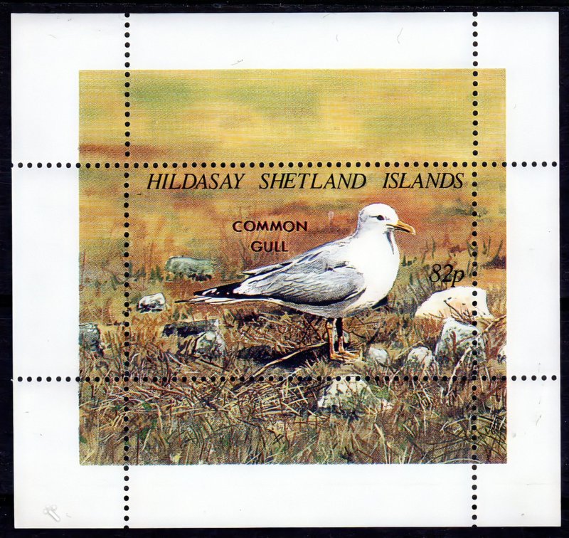 Shetland Islands (Hildasay) 1995  COMMON GULL BIRDS Souvenir Sheet (1) MNH