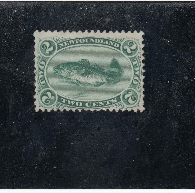 NEWFOUNDLAND  # 24a  FVF-MNG  2cts  1870 CODFISH / GREEN CAT VALUE $200