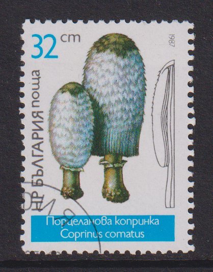 Bulgaria   #3235  cancelled  1987  mushrooms  32s