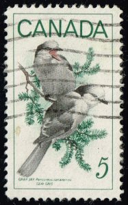 Canada #478 Gray Jays; Used (3Stars)