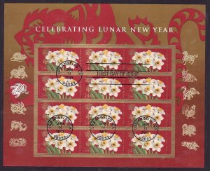USA-Sc#4435- id12-used sheet-Chinese New Year-Tiger-2010-