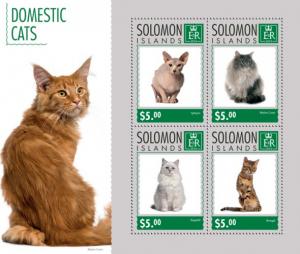 SOLOMON ISLANDS 2014 SHEET CATS slm14712a