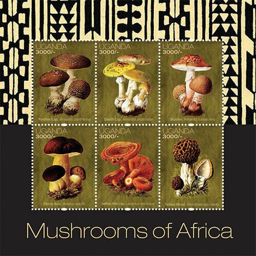 Uganda 2012 - MUSHROOMS OF AFRICA - Sheet of 6 Stamps - Scott #1954 - MNH