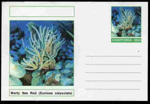 Chartonia (Fantasy) Coral - Warty Sea Rod (Eunicea calycu...