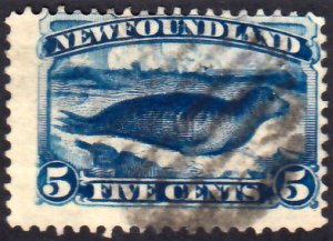 Newfoundland Scott 54 Used.