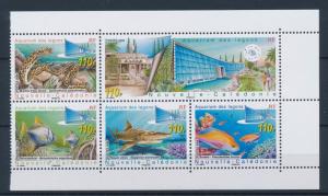 [38249] New Caledonia 2007 Marine Life Aquarium Fish Shark MNH