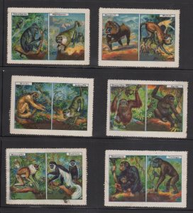German Collector Advertising Stamps - Complete  Set of 6 - Monkeys  & Apes