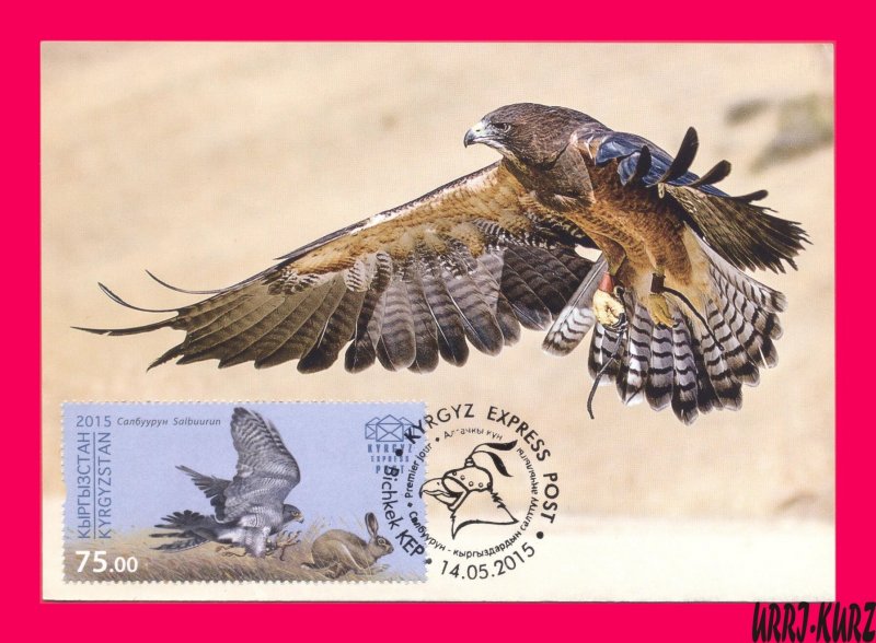 KYRGYZSTAN2015 Nature Fauna Predatory Bird Hunting Falcon Falconry Maxicard Card