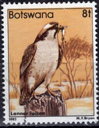 Botswana; 1982: Sc. # 310: Used Single Stamp