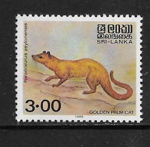 SRI LANKA, 928, MNH, GOLDEN PALM CAT