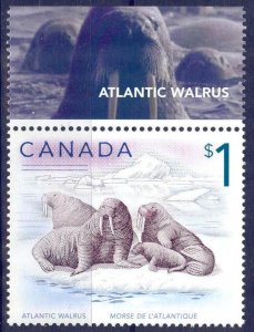 Canada 2005 Seals Atlantic Walrus Mi.2300 MNH