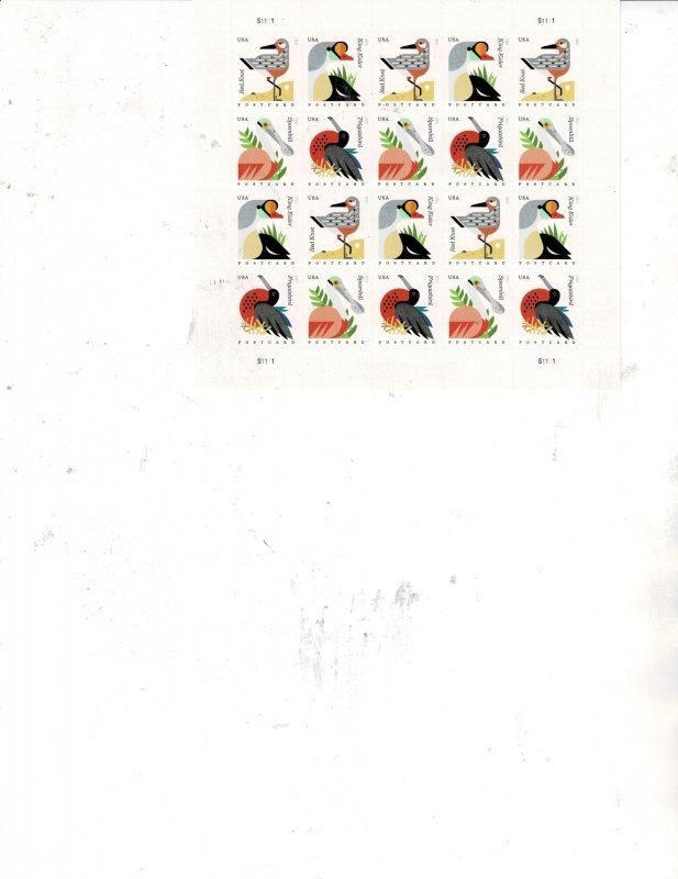 Coastal Birds Postcard Rate US Postage Sheet #4991-94 VF MNH