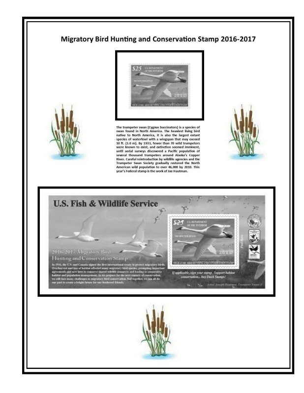 Mac's RW77-RW89 2010-current U.S. Federal Duck Stamp Supplement/Album Grouping 