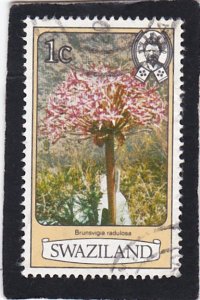 Swaziland,  #   346     used