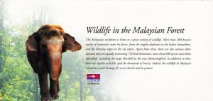 Malaysia 2004 Wildlife The Malaysian Forest Presentation Folder Tiger Elephants