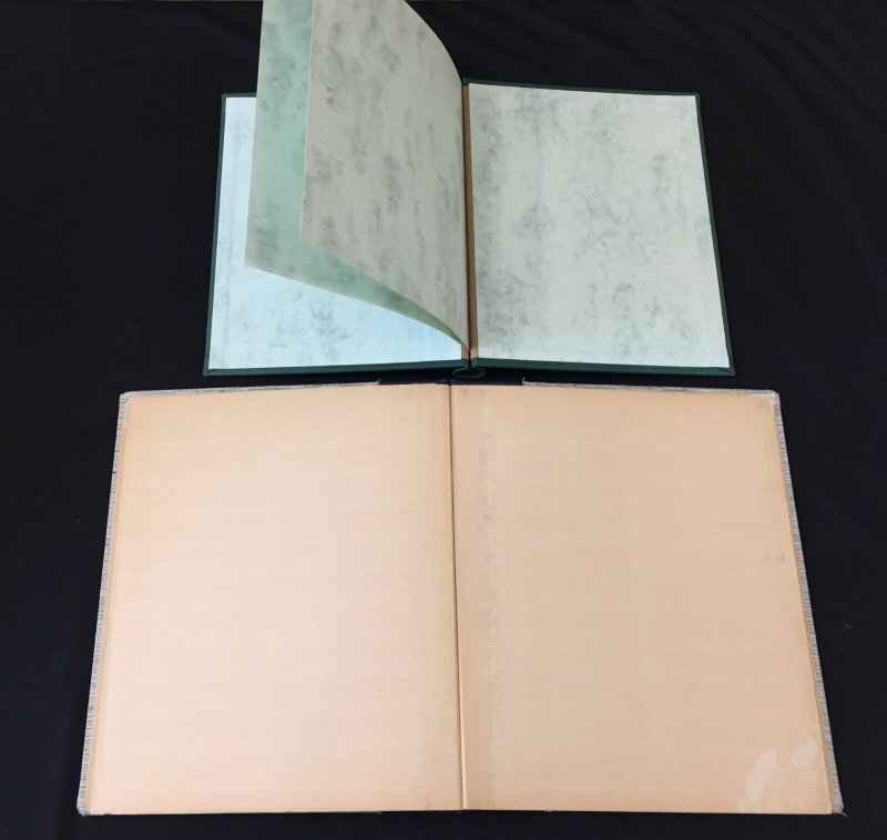 SPRINGBACK Binders x 13 Senator Gibbons Tower .8kg(K706)