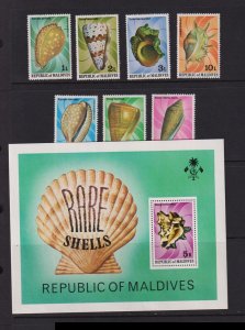 Maldive Islands - Rare Sea Shells, MNH, cat. $ 24.70