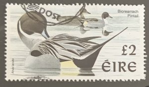 IRELAND 1997 BIRDS £2 PINTAIL FINE USED. CAT £4.25