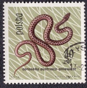 Poland - 1134 1963 Used