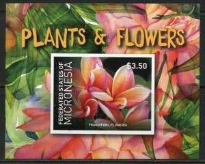 NEVER BEFORE OFFERED RARE MICRONESIA PLANTS & FLOWERS  S/S  IMPERFORATE MINT NH