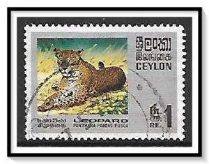 Ceylon #442 Leopard Used