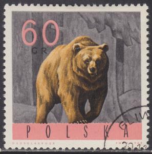 Poland 1373 Brown Bear 1965