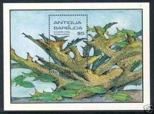 ANTIGUA & BARBUDA MARINE LIFE CORALS SCOTT 874 MNH s889