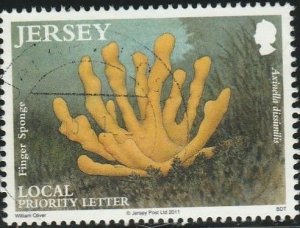 Jersey, #1499  Used  From 2011