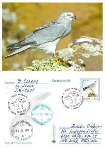 Moldova 2016 PSC birds of prey stamps with FD Cancel Pallid harrier 