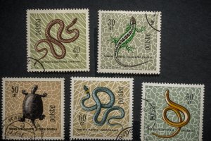 Poland #1134-1138 USED  low half of set, reptiles