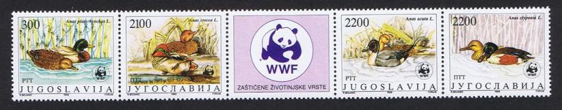 Yugoslavia WWF Teals Strip of 4v+label folded SG#2511/14 SC#1951 MI#2328-31