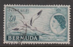 Bermuda 1953 6d Bird Sc#152 Used