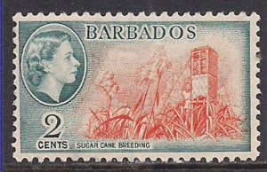 Barbados 1953 - 61 QE2 2 cents SG 290 MNH ( K772 )