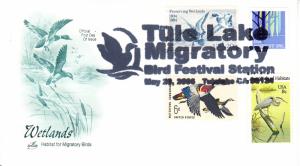 2006 Tule Lake Migratory Bird Festival Tule Lake, CA Artcraft