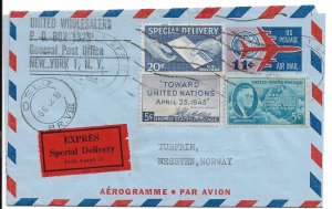 New York, NY to Nesbyen, Norway 1962 Special Del. Airmail Letter Sheet (52466)