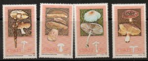 CISKEI SG141/4 1988 FUNGI MNH