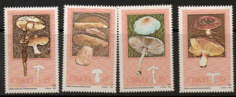 CISKEI SG141/4 1988 FUNGI MNH 