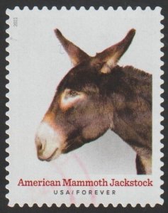 SC# 5587 - (55c) - Heritage Breeds Amer. Mammoth Jackstock - 5/10 - Used Single