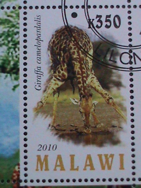 MALAWI -2010-PROTECTED ENDANGER ANIMALS-GIRAFFES-CTO SHEET VERY FINE