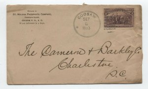 1893 Coosaw SC 2ct columbian cover R6 DPO [H.1256]