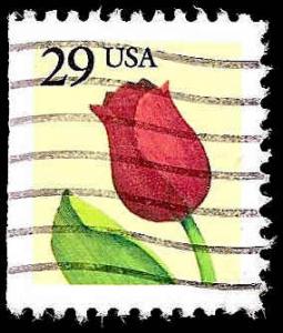# 2527 USED RED ROSE