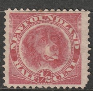 Newfoundland #56 , Mint OG HR   (1349)