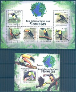 Mozambique 2011 Birds (7) Toucans Sheet + S/S MNH