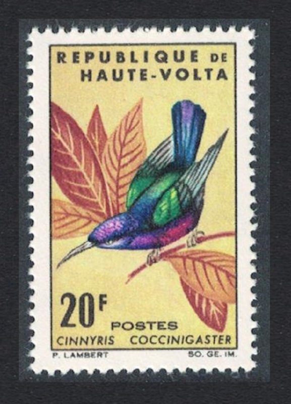Upper Volta Splendid Sunbird bird 20f 1965 MNH SG#156