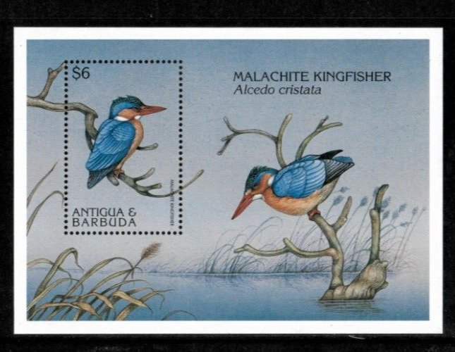 Antigua 1997 - Birds, Animals - Souvenir Stamp Sheet - Scott #2060 - MNH