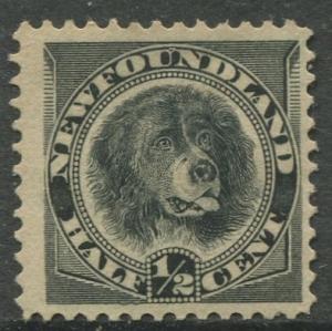 Newfoundland - Scott 58 - QV Definitive - 1894 - MH - Single 1/2c Stamp