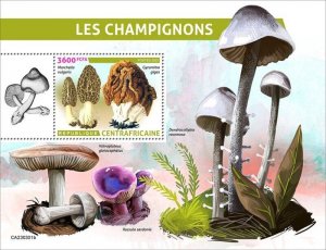 Central Africa - 2023 Mushrooms, Common Morel - Stamp Souvenir Sheet - CA230301b